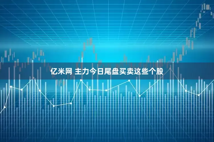 亿米网 主力今日尾盘买卖这些个股