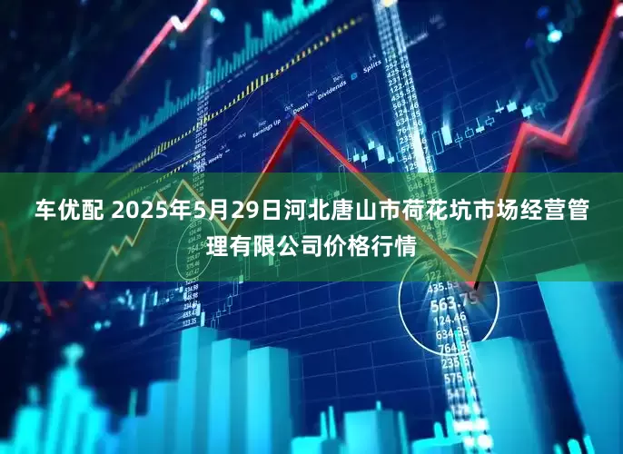车优配 2025年5月29日河北唐山市荷花坑市场经营管理有限公司价格行情