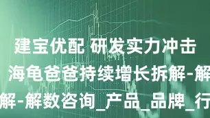 建宝优配 研发实力冲击细分赛道：海龟爸爸持续增长拆解-解数咨询_产品_品牌_行业背景